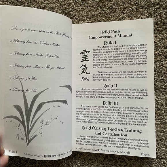Book Reiki: A Torch in Daylight by Karyn K. Mitchell A Reiki reference guide - Picture 7 of 9